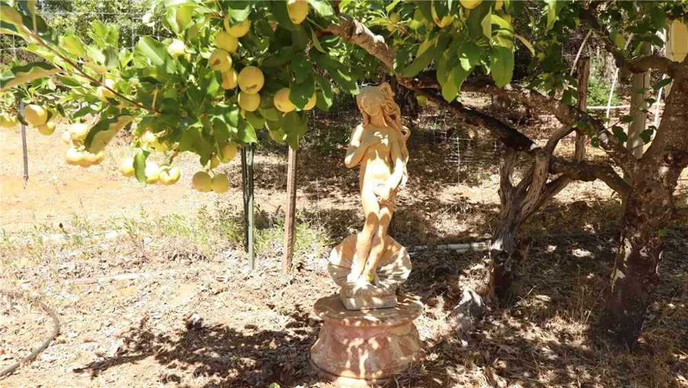 11444 Bottle Rock Road Kelseyville, CA 95451