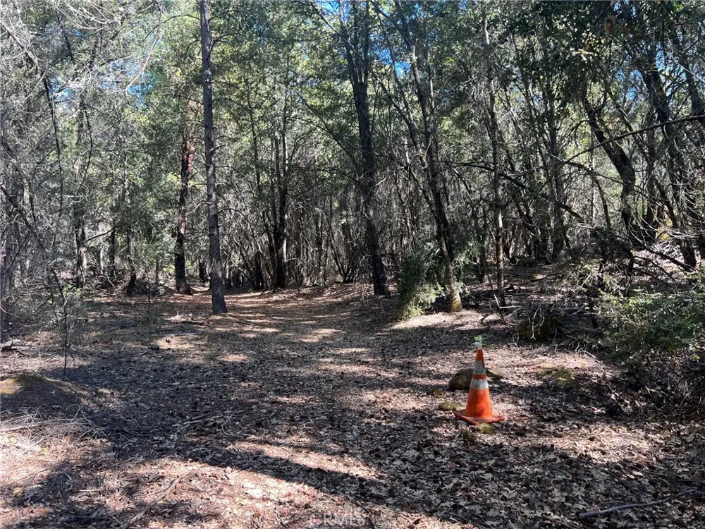 11444 Bottle Rock Road Kelseyville, CA 95451