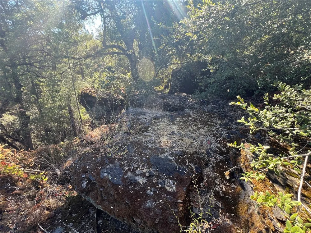 11444 Bottle Rock Road Kelseyville, CA 95451