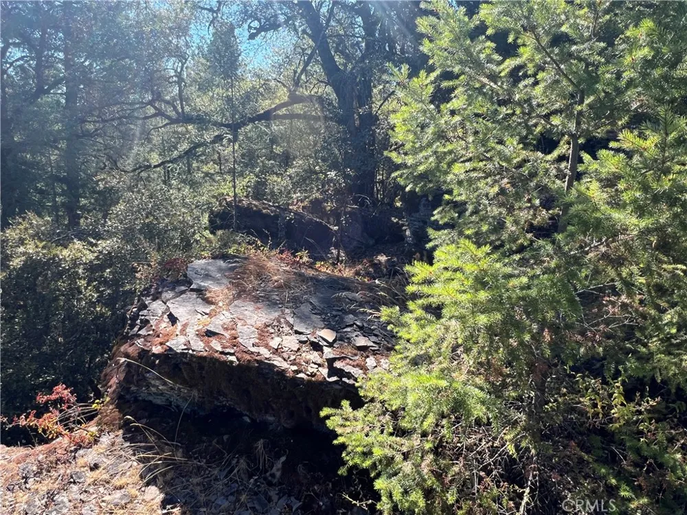 11444 Bottle Rock Road Kelseyville, CA 95451
