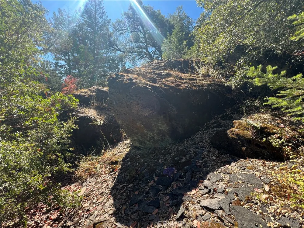 11444 Bottle Rock Road Kelseyville, CA 95451