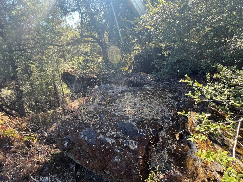 11444 Bottle Rock Road Kelseyville, CA 95451