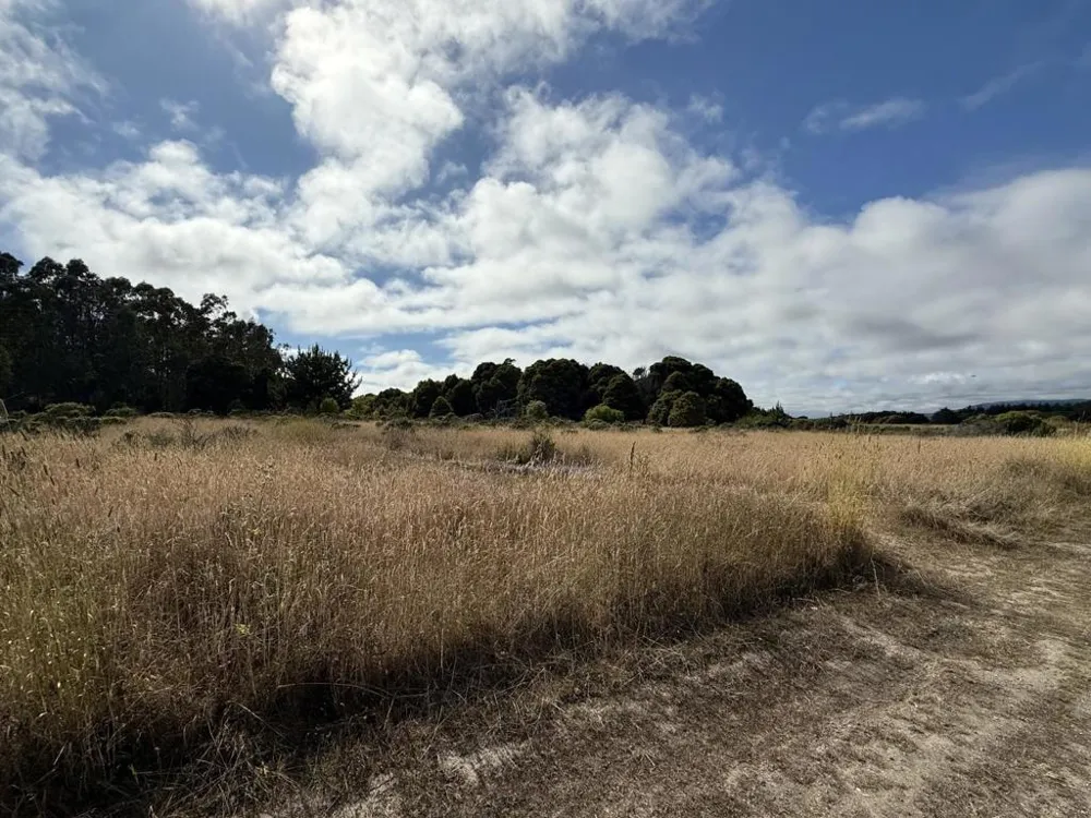 Bonita Ave. Half Moon Bay, CA 94019