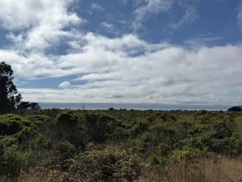 Bonita Ave.