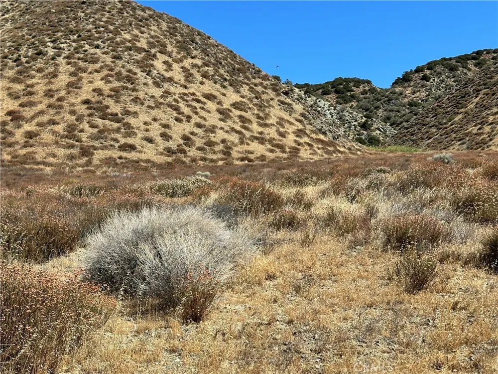 90 W Avenue N-8 Leona Valley, CA 93551