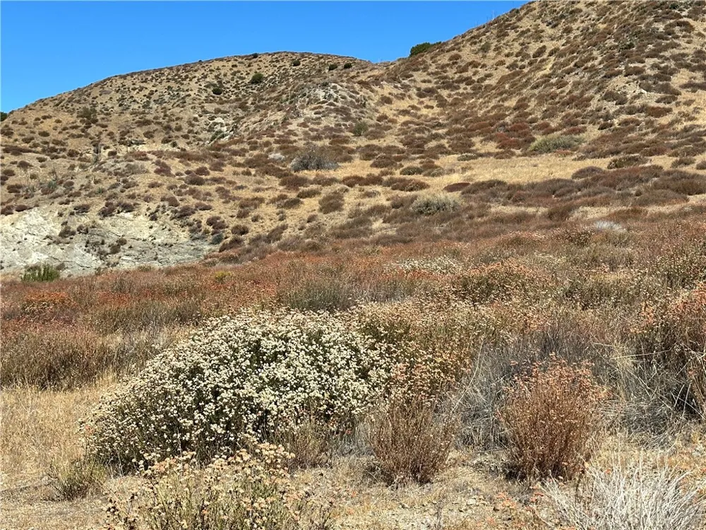 90 W Avenue N-8 Leona Valley, CA 93551