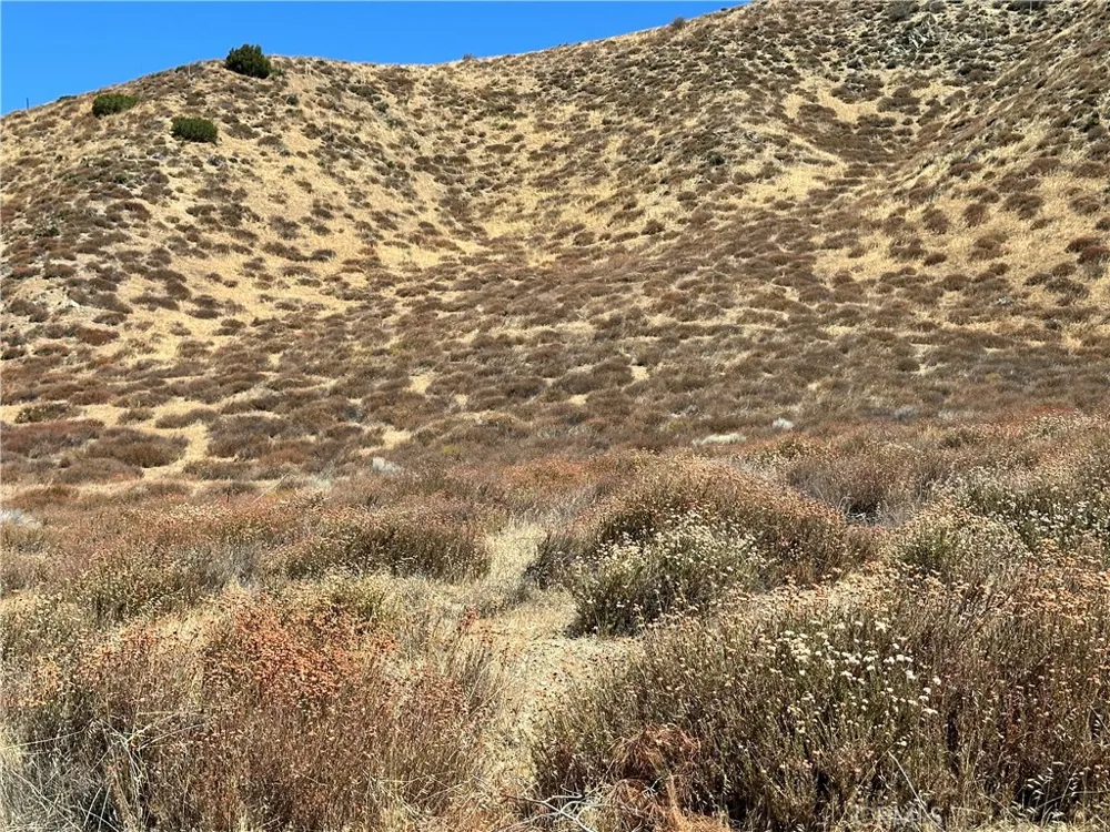 90 W Avenue N-8 Leona Valley, CA 93551