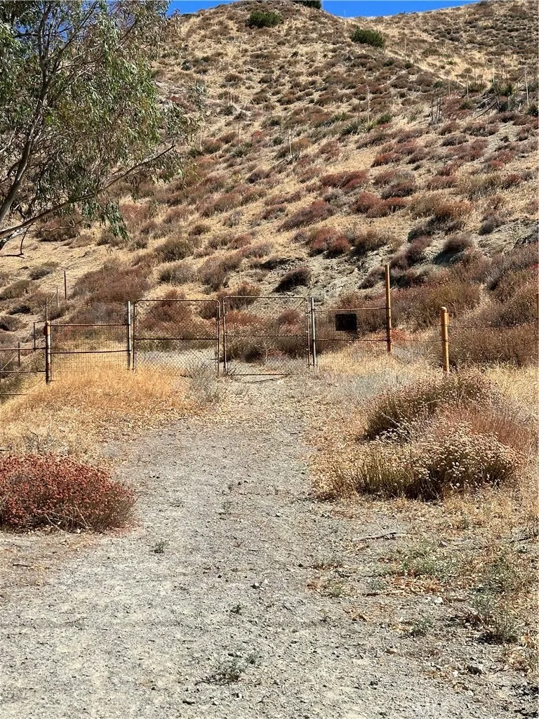 90 W Avenue N-8 Leona Valley, CA 93551