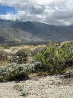 13367 Cottonwood