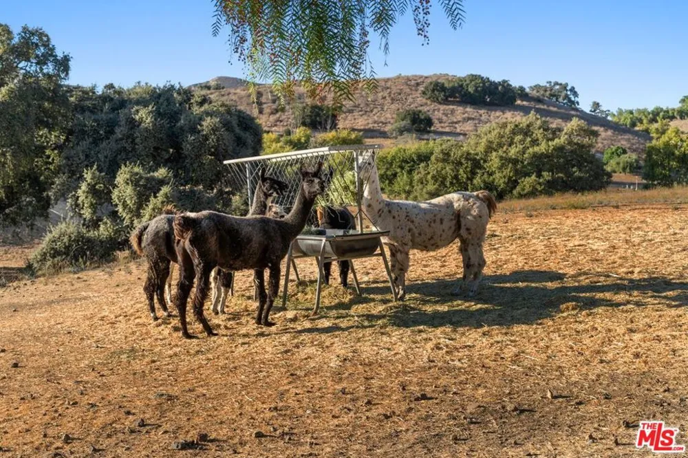 7351 Happy Canyon Road Santa Ynez, CA 93460