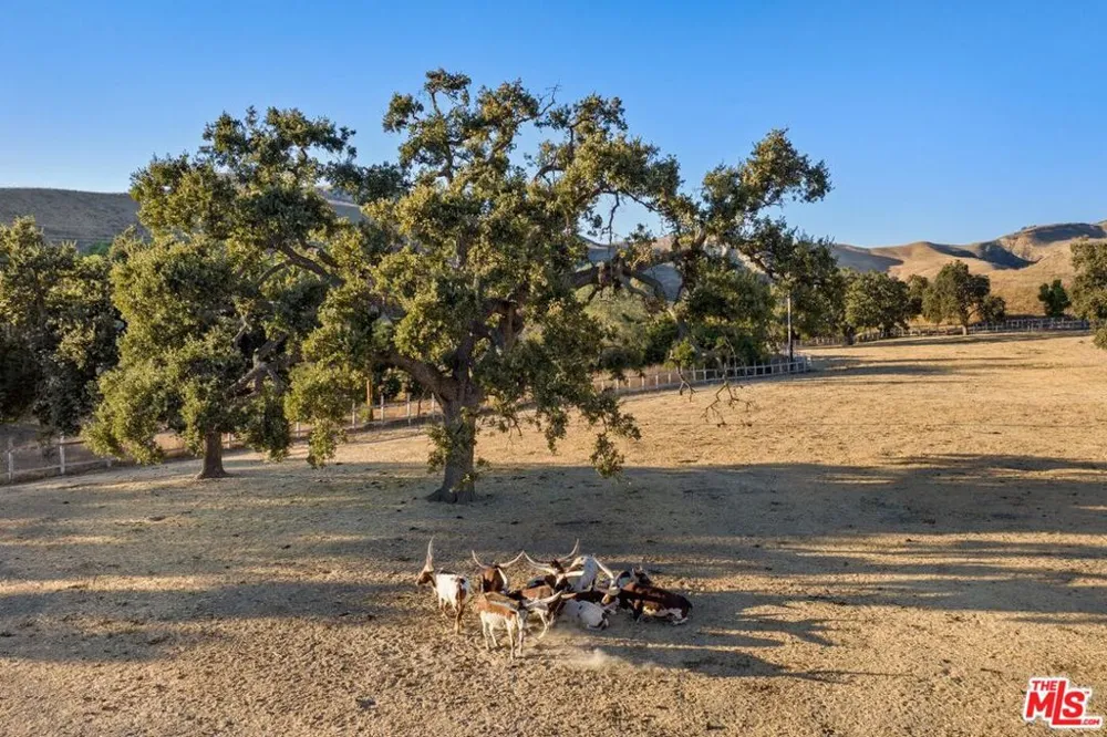 7351 Happy Canyon Road Santa Ynez, CA 93460