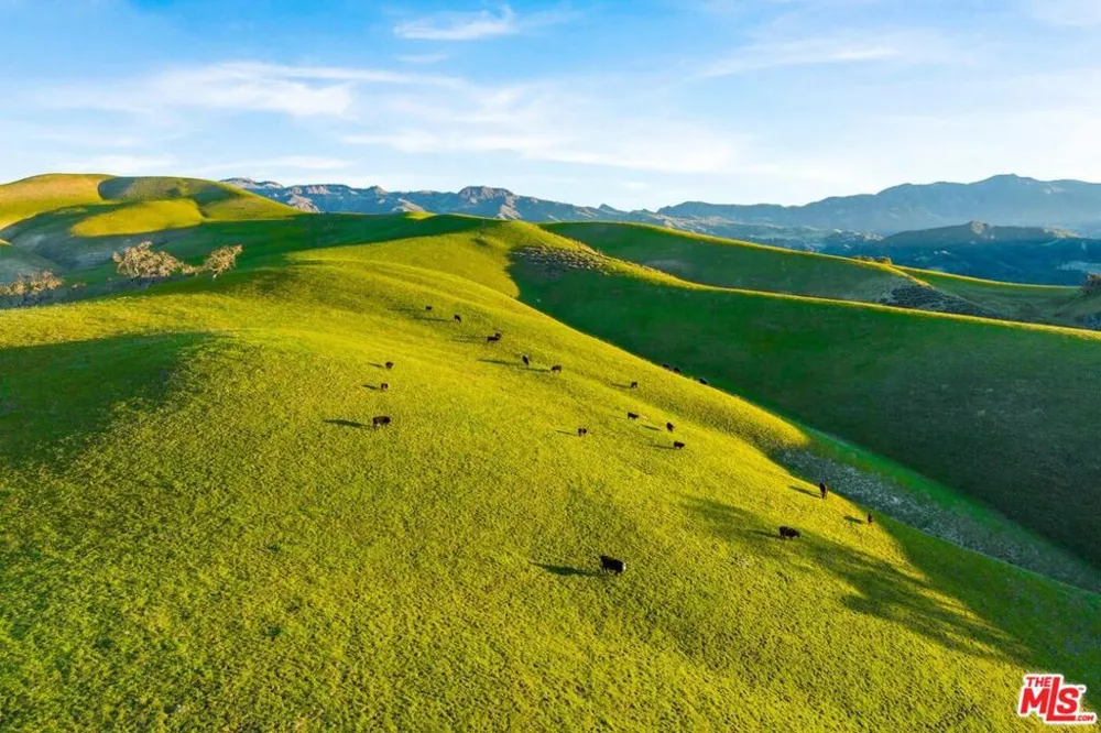 7351 Happy Canyon Road Santa Ynez, CA 93460