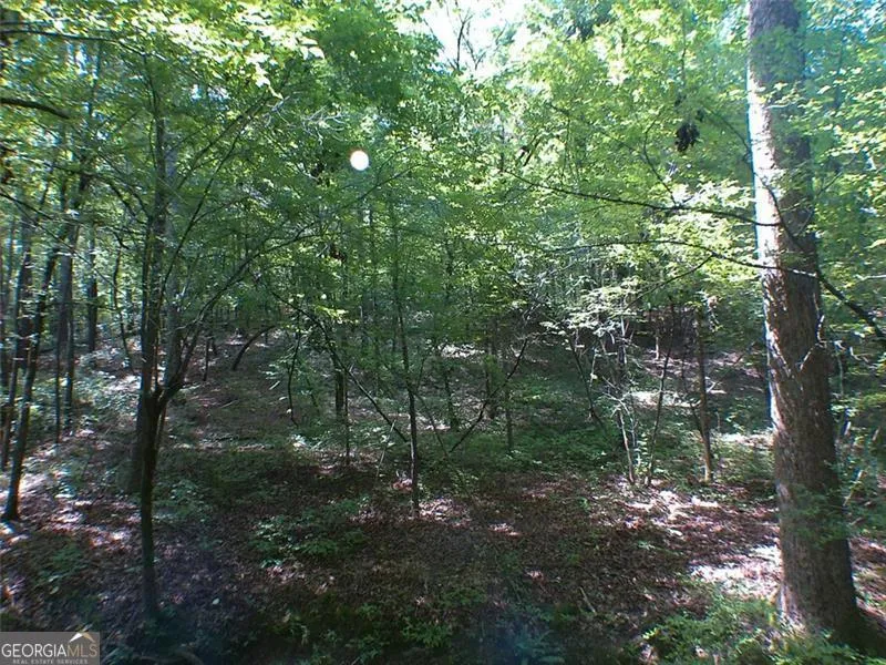 0 Briarpatch DR Covington, GA 30014