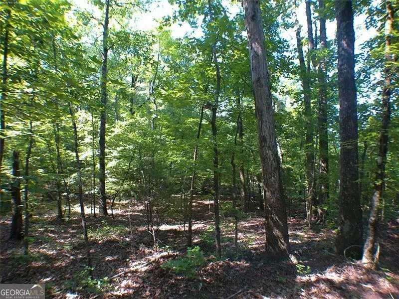 0 Briarpatch DR Covington, GA 30014