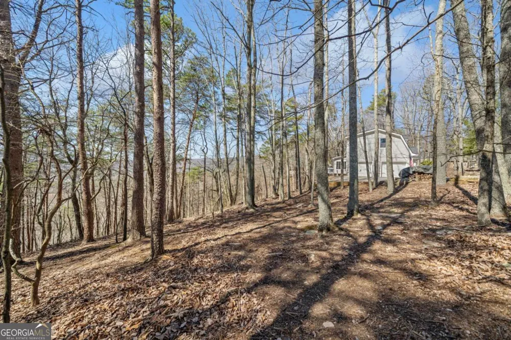 166 Ponderosa LN Waleska, GA 30183