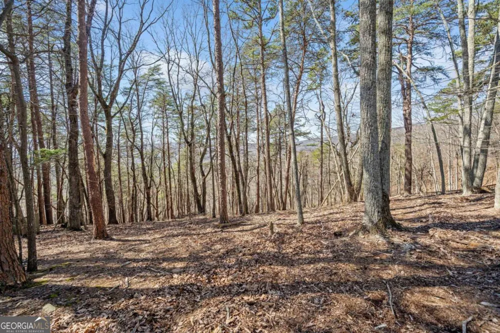 166 Ponderosa LN Waleska, GA 30183