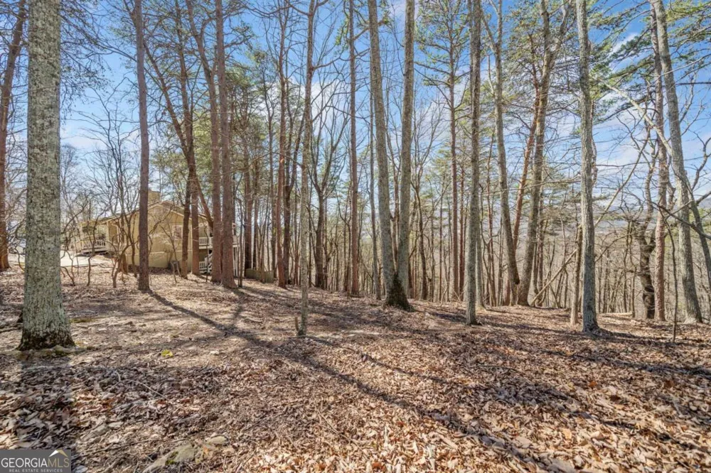 166 Ponderosa LN Waleska, GA 30183
