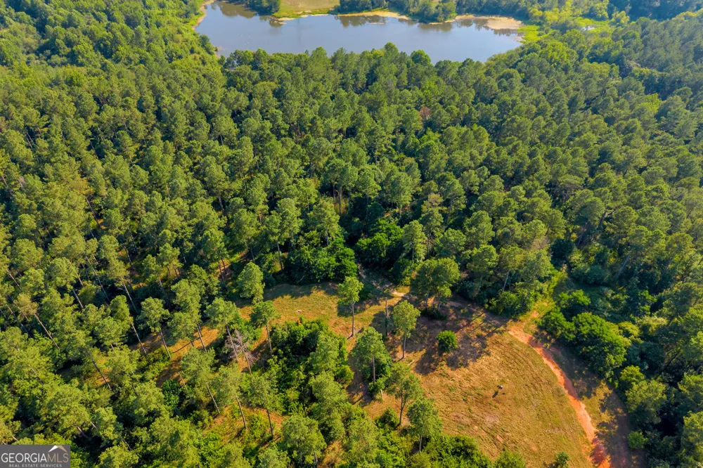 0 Baty RD Martin, GA 30557