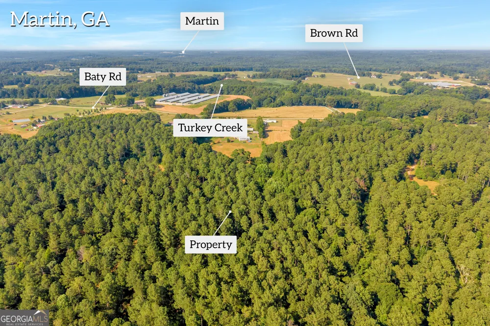 0 Baty RD Martin, GA 30557