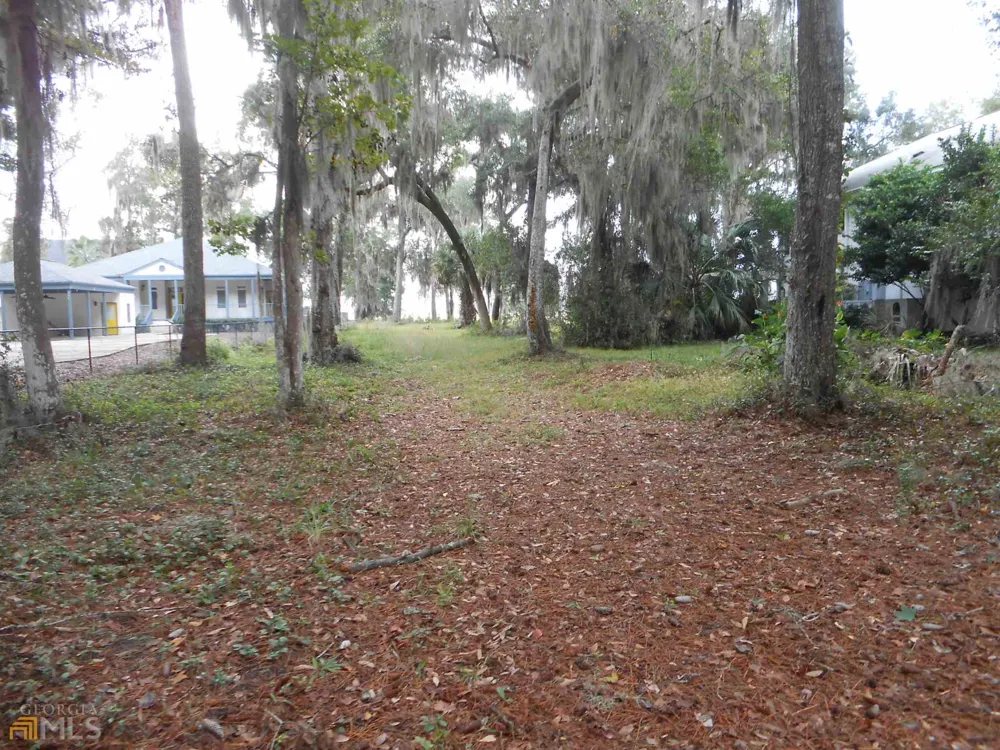 0 Julienton DR Townsend, GA 31331