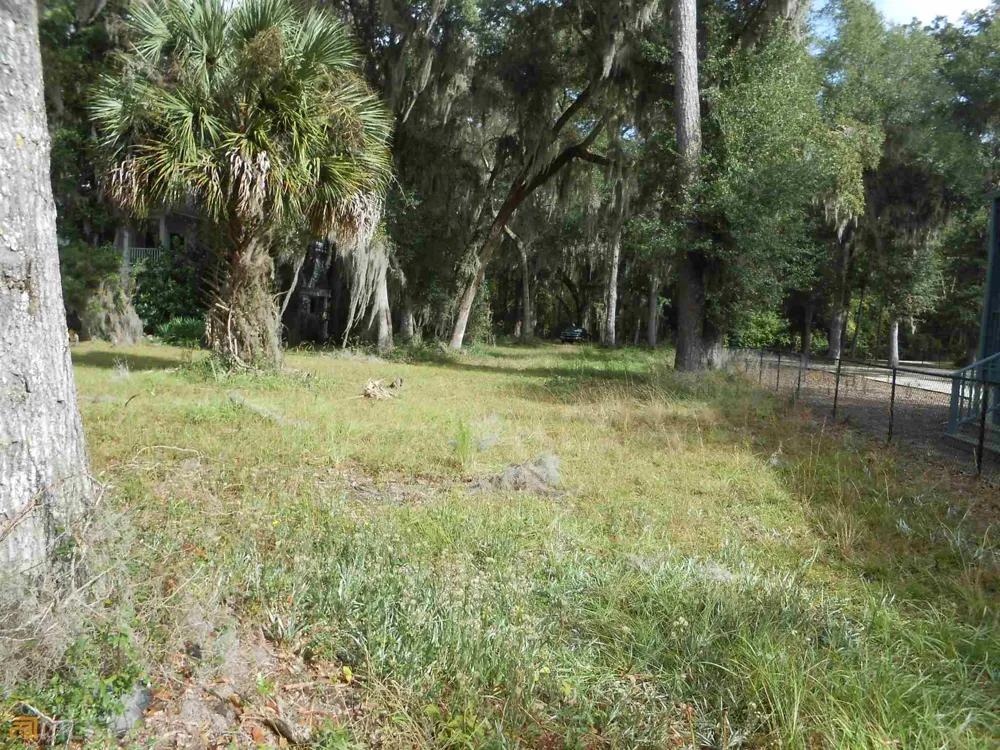 0 Julienton DR Townsend, GA 31331