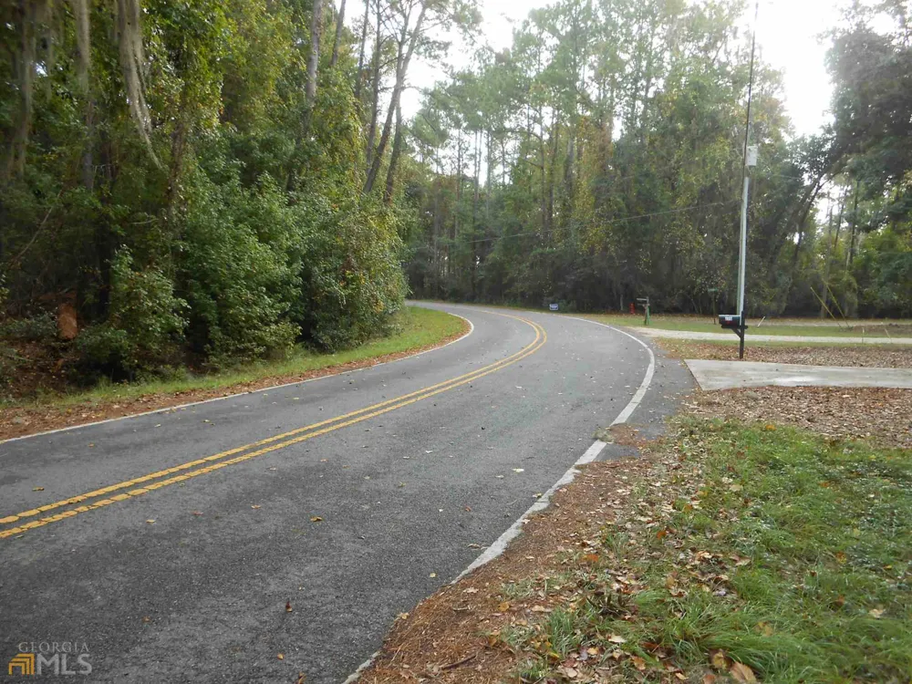 0 Julienton DR Townsend, GA 31331