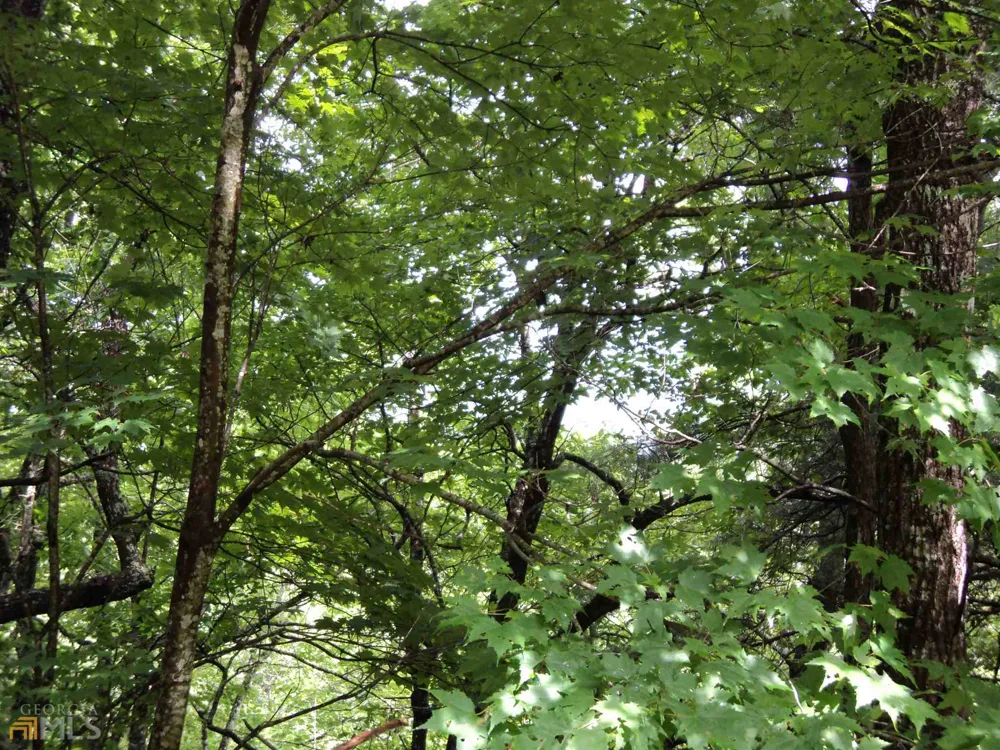 0 Smokey Hollow DR Dillard, GA 30537