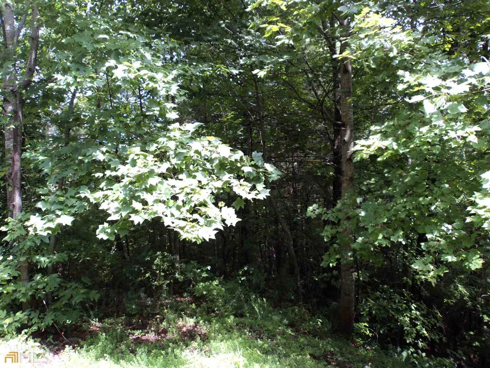 0 Smokey Hollow DR Dillard, GA 30537