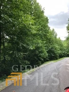 0 Smokey Hollow DR Dillard, GA 30537
