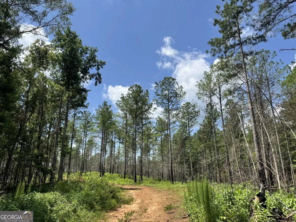 140+/- AC Hwy 100 Franklin, GA 30217