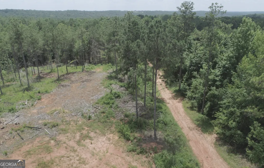 140+/- AC Hwy 100 Franklin, GA 30217