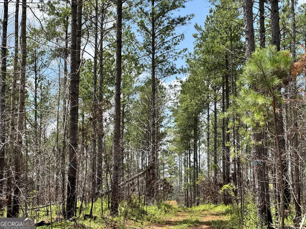 140+/- AC Hwy 100 Franklin, GA 30217