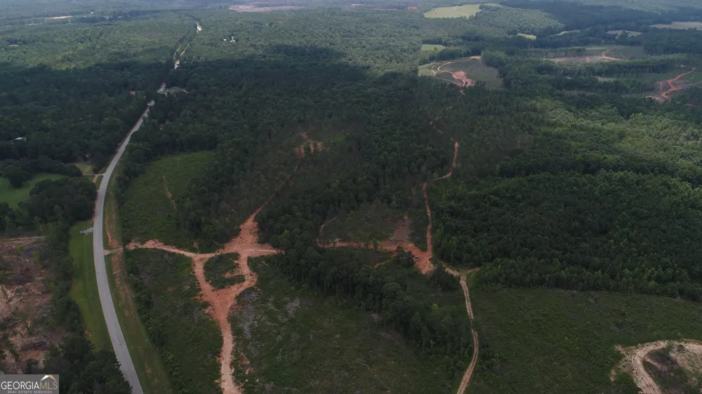 140+/- AC Hwy 100 Franklin, GA 30217