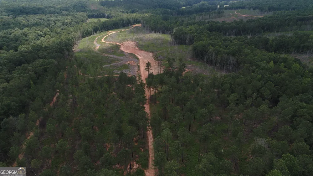140+/- AC Hwy 100 Franklin, GA 30217