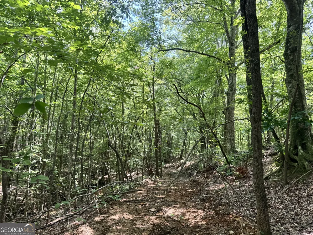 140+/- AC Hwy 100 Franklin, GA 30217
