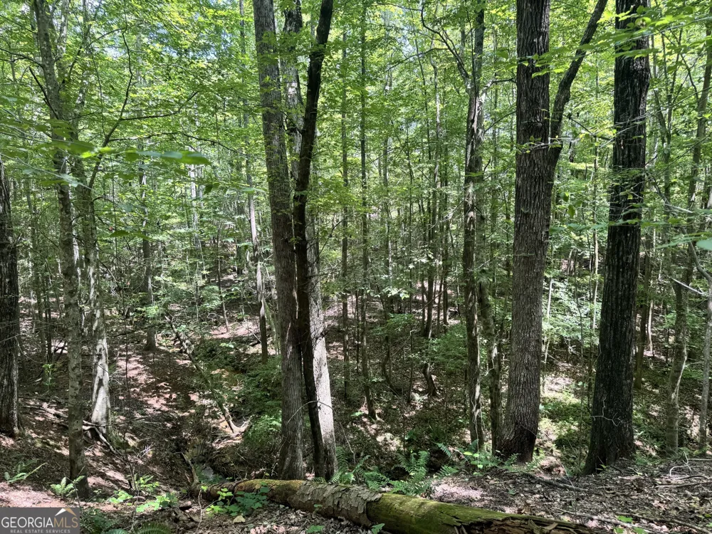 140+/- AC Hwy 100 Franklin, GA 30217