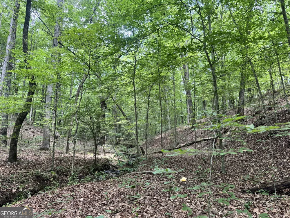 140+/- AC Hwy 100 Franklin, GA 30217