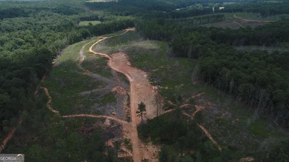 140+/- AC Hwy 100 Franklin, GA 30217