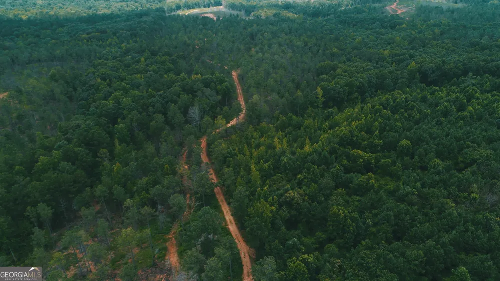 140+/- AC Hwy 100 Franklin, GA 30217