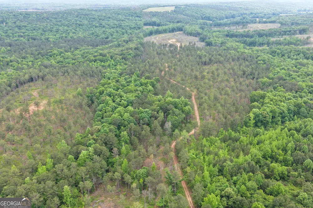 140+/- AC Hwy 100 Franklin, GA 30217