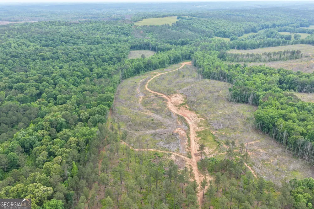 140+/- AC Hwy 100 Franklin, GA 30217