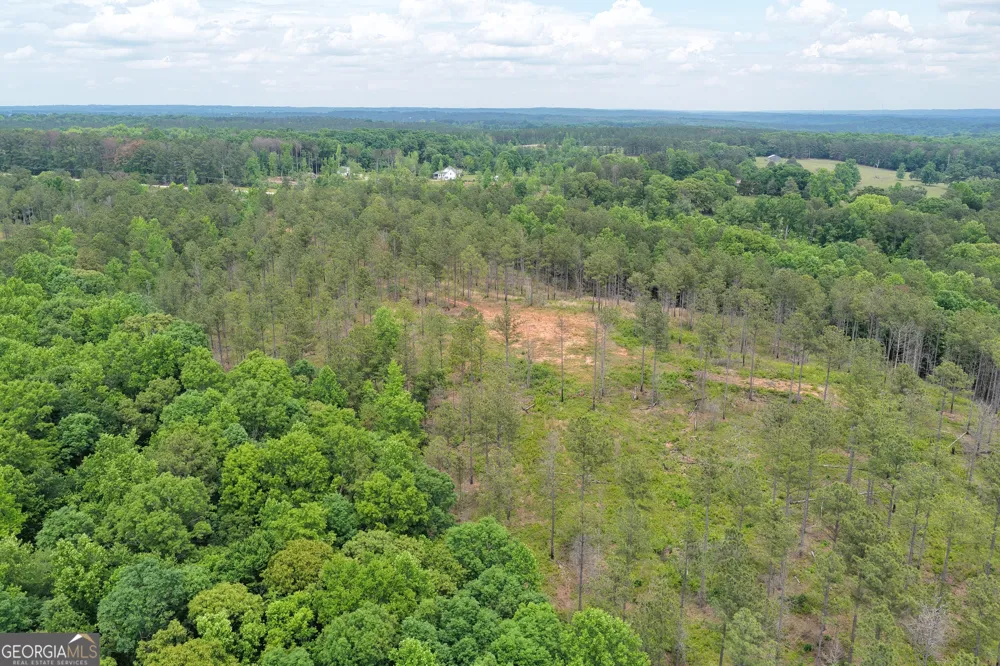 140+/- AC Hwy 100 Franklin, GA 30217