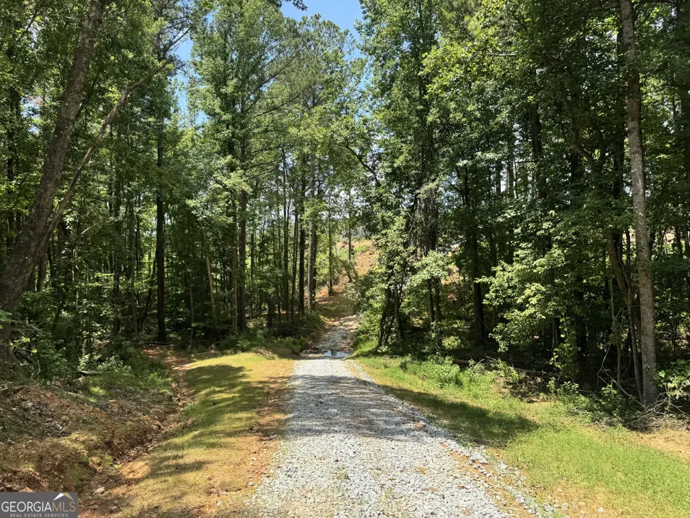 319 +/- AC Hwy 100 Franklin, GA 30217