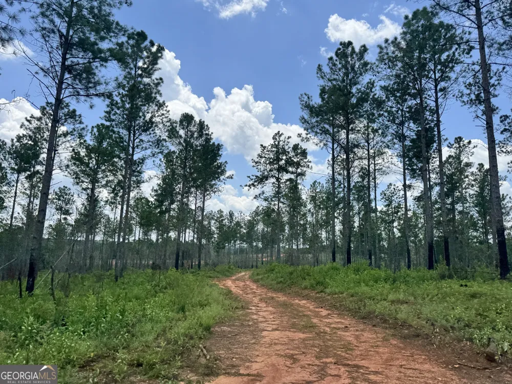 319 +/- AC Hwy 100 Franklin, GA 30217
