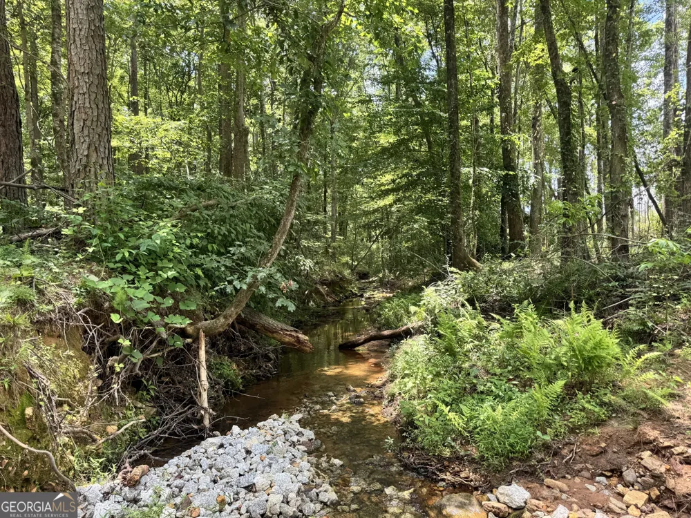 319 +/- AC Hwy 100 Franklin, GA 30217