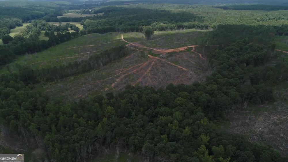 319 +/- AC Hwy 100 Franklin, GA 30217