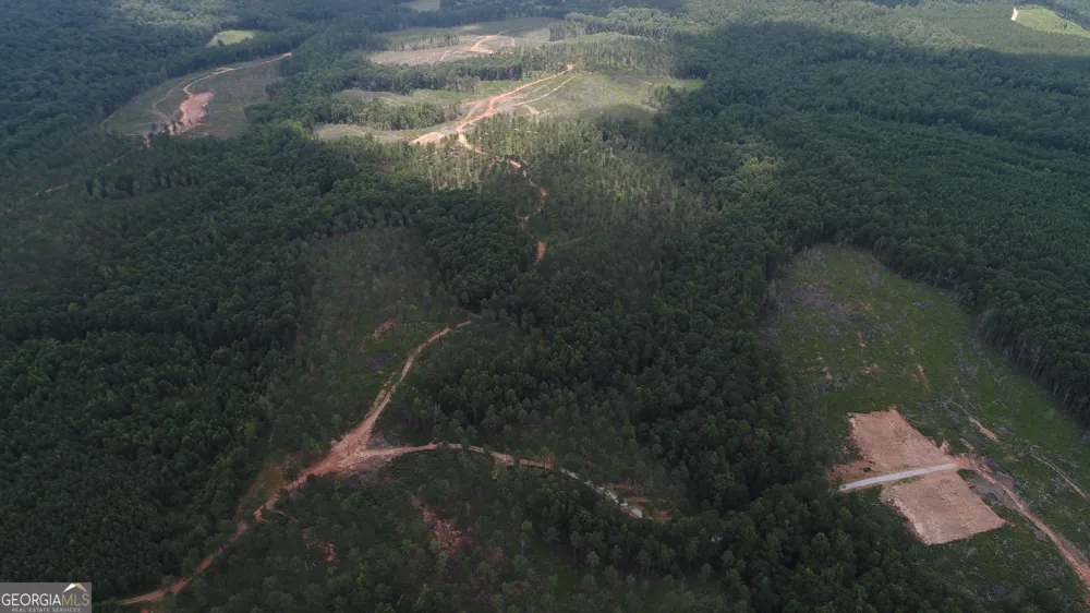 319 +/- AC Hwy 100 Franklin, GA 30217