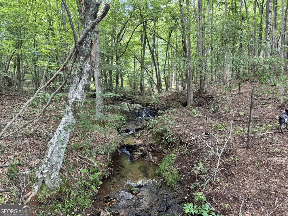 319 +/- AC Hwy 100 Franklin, GA 30217