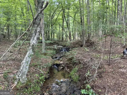 319 +/- AC Hwy 100