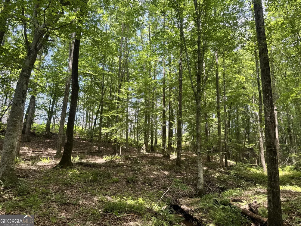 319 +/- AC Hwy 100 Franklin, GA 30217